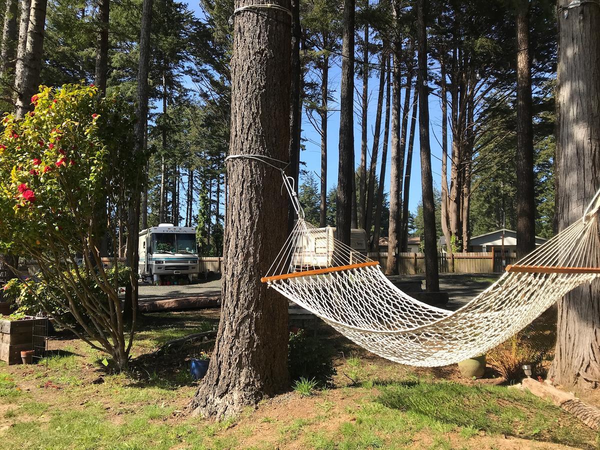 Bandon Wayside Motel + Rv Exterior foto
